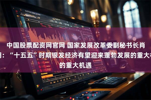 中国股票配资网官网 国家发展改革委副秘书长肖渭明：“十五五”时期银发经济有望迎来蓬勃发展的重大机遇