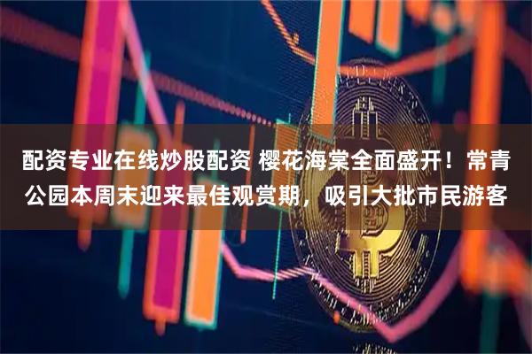 配资专业在线炒股配资 樱花海棠全面盛开！常青公园本周末迎来最佳观赏期，吸引大批市民游客