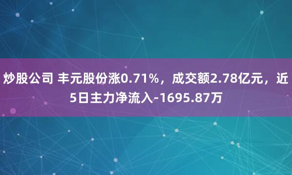 炒股公司 丰元股份涨0.71%，成交额2.78亿元，近5日主力净流入-1695.87万